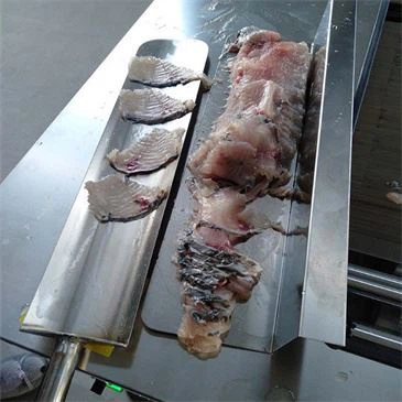 new-design-fresh-frozen-chicken-fish-meat
