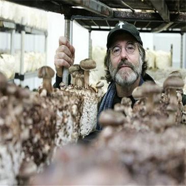 growing-mushroom-filling-machine-production growing-mushroom-filling-machine-production