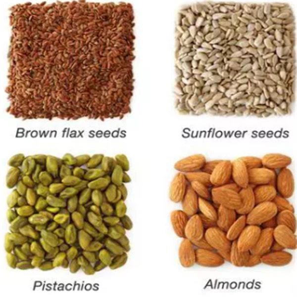 Cold Press Oil Making Machine