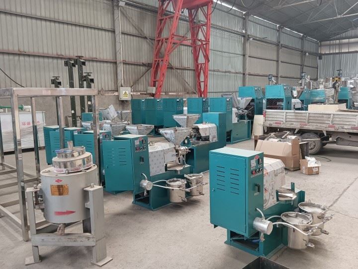 Cold Oil Press Machine Made in China