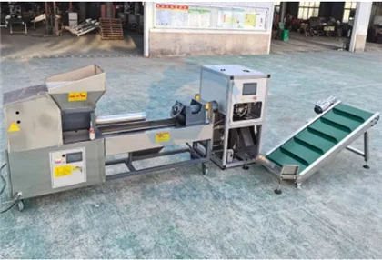 মাশরুমের জন্য পেশাদার-গ্রেড ব্যাগিং মেশিন