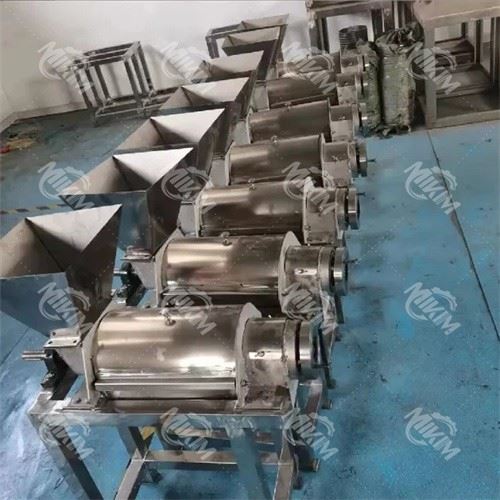 Fruit And Vegetable Juicer