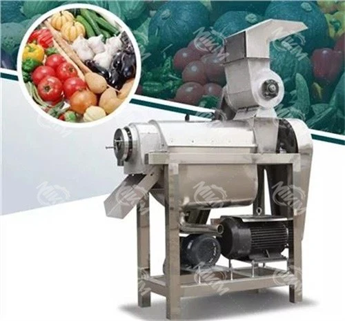Fruit And Vegetable Juicer