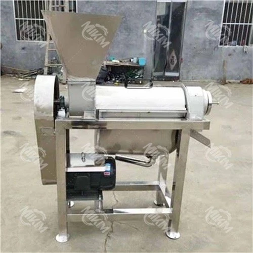 Fruit And Vegetable Juicer
