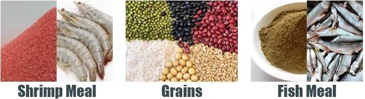 raw Material raw Material